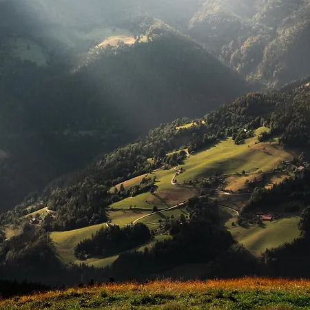 Povh * Ljubno