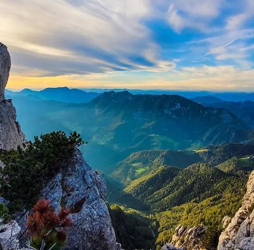 Povh Διαμέρισμα Ljubno