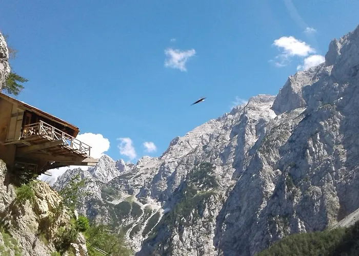 Διαμέρισμα Povh