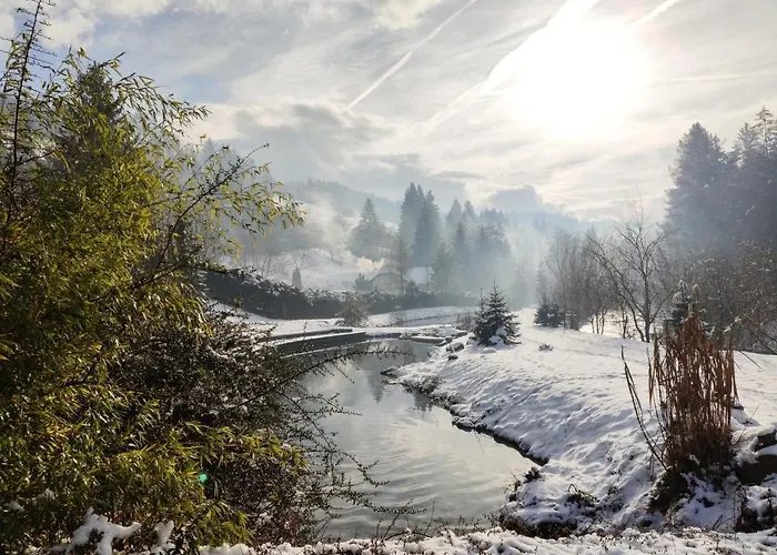 Διαμέρισμα Povh Ljubno